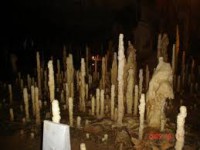 /album/galerie-foto/images-28-jpg1/